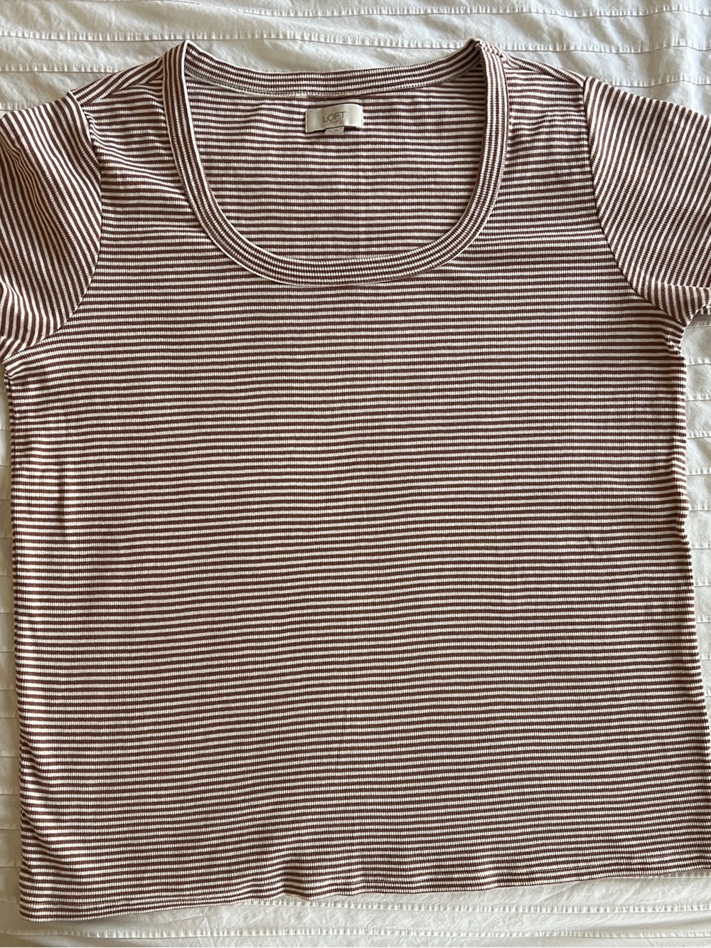 LOFT Short Sleeve Scoop Tee in Brown and White Stripes